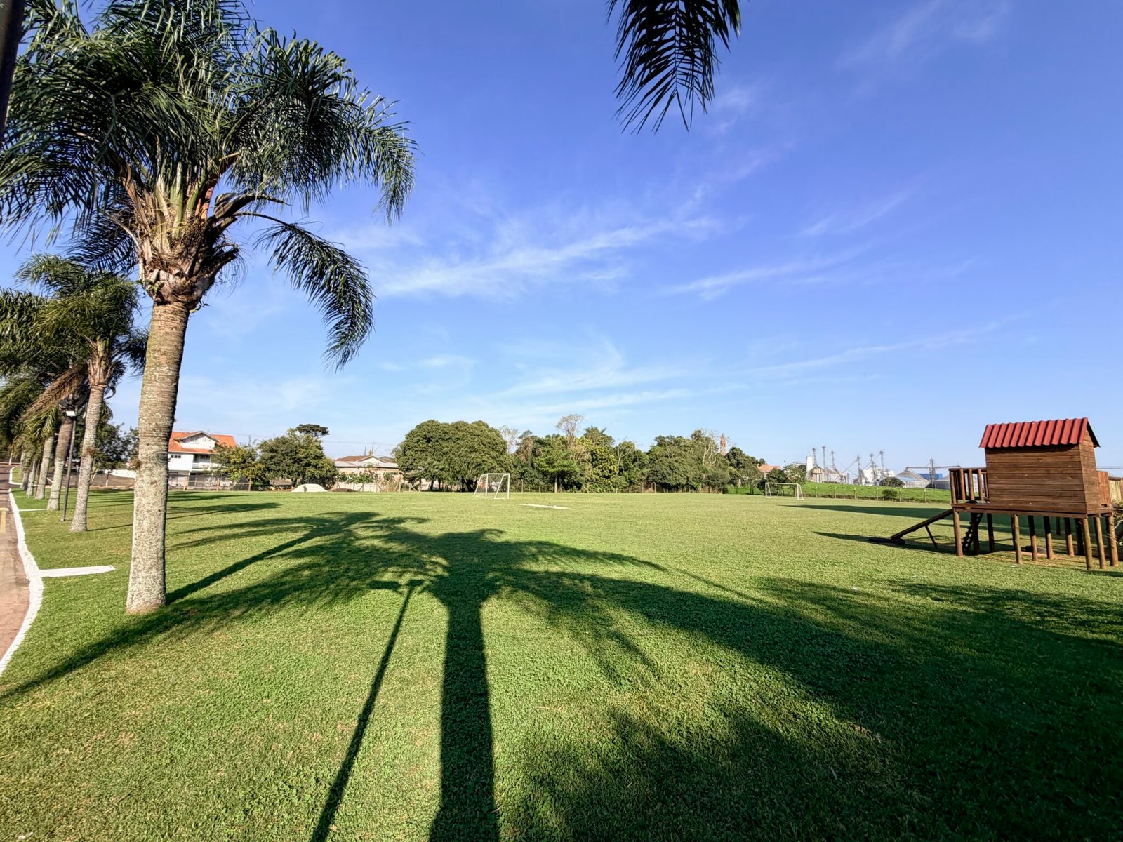 Campo